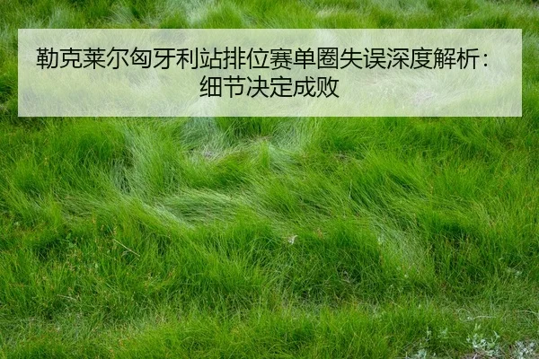 lei-ke-lai-er-xiong-ya-li-zhan-pai-wei-sai-dan-quan-shi-wu-shen-du-jie-xi-xi-jie-jue-ding-cheng-bai-2-529.jpg